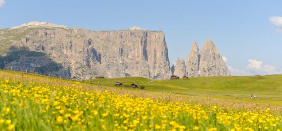 Dolomites nature