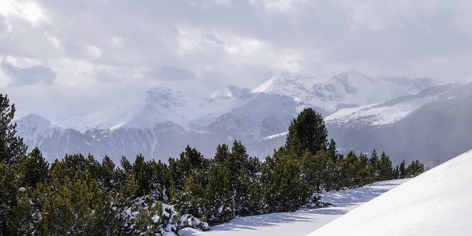 Un paessaggio invernale