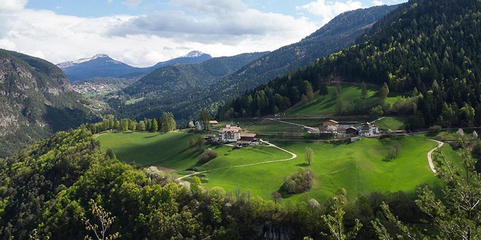 View of the Berggasthof Dorfner and the mountains