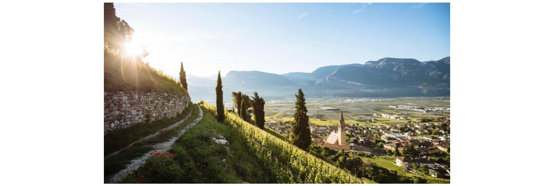 Vista da un percorso escursionistico su un villaggio in Alto Adige al sole.